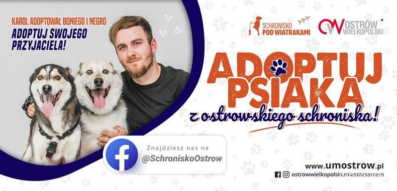 Ilustracja do artykułu: Adoptuj psiaka tak jak oni!