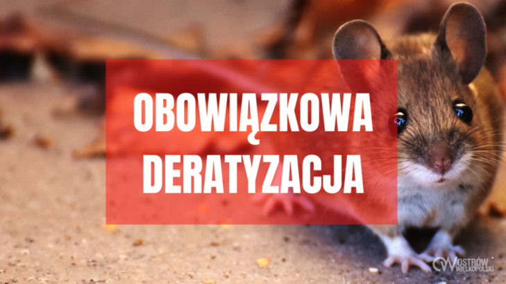 Ilustracja do artykułu: Obowiązkowa deratyzacja w listopadzie