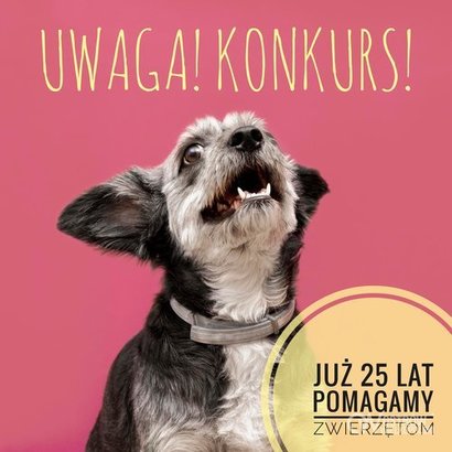 Ilustracja do artykułu: Konkurs Ostrowskiego Stowarzyszenia Miłośników Zwierząt