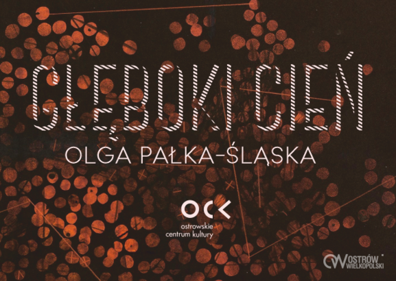 Ilustracja do artykułu: Olga Pałka-Śląska | Głęboki cień | wernisaż