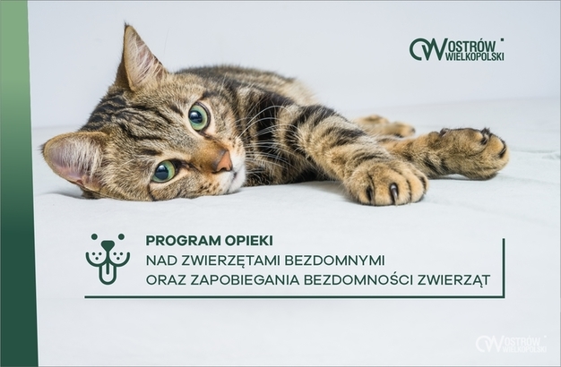 Ilustracja do artykułu:  PROGRAM OPIEKI NAD ZWIERZĘTAMI BEZDOMNYMI ORAZ ZAPOBIEGANIA BEZDOMNOŚCI ZWIERZĄT