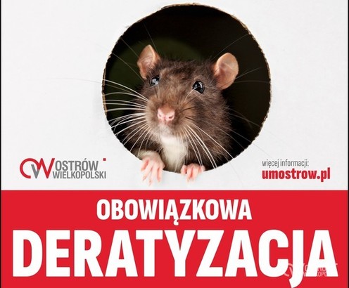 Ilustracja do artykułu: OBOWIĄZKOWA DERATYZACJA w kwietniu