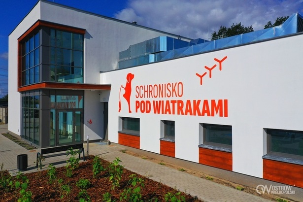 Ilustracja do artykułu: Nowe godziny pracy schroniska dla zwierząt w Wysocku Wielkim