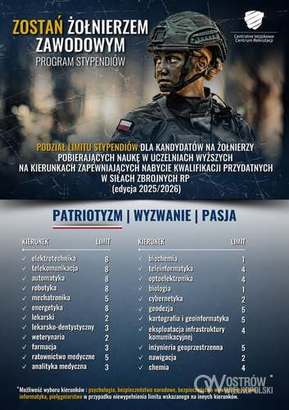 Ilustracja do artykułu: Dobrowolna zasadnicza służba wojskowa – Twój pierwszy krok do wojska