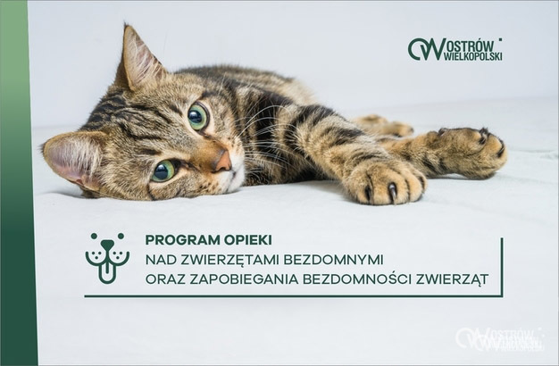 Ilustracja do artykułu: Program Opieki nad zwierzętami