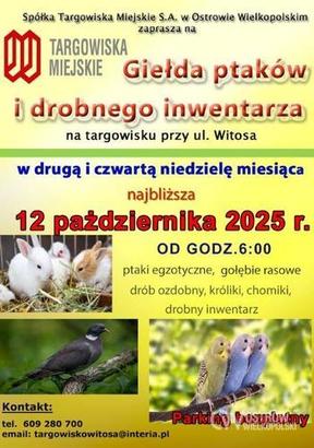 Ilustracja do artykułu: Ostrowska Wystawa Ptaków