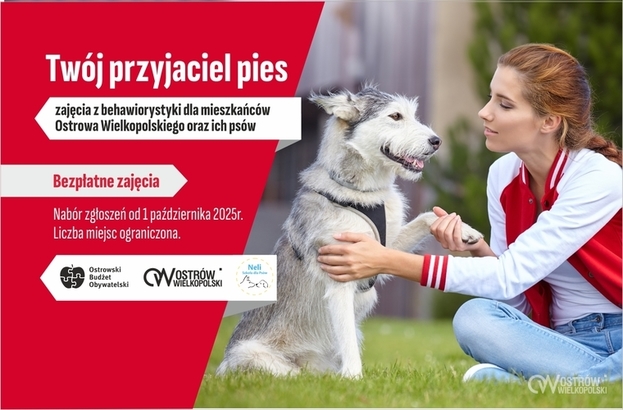 Ilustracja do artykułu: Twój przyjaciel pies - harmonogram spotkań