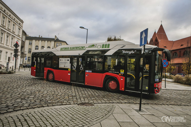 Ilustracja do artykułu: Bezpłatne autobusy 1 listopada