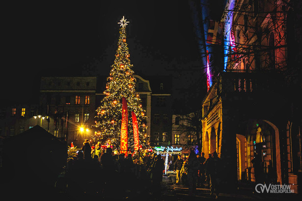 Ilustracja do artykułu: Rozświetliliśmy nową choinkę!