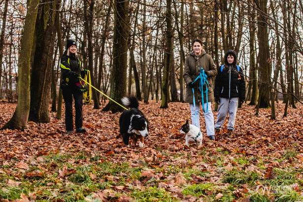 Ilustracja do artykułu: Twój przyjaciel pies – projekt dla miłośników czworonogów