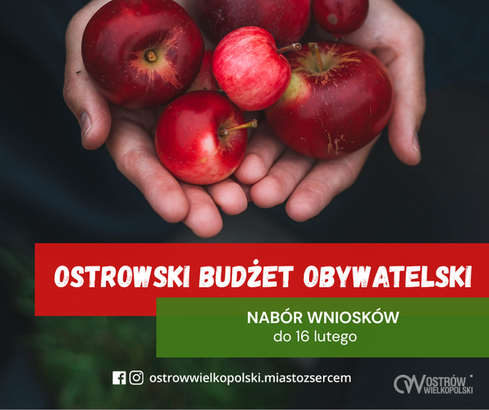 Ilustracja do artykułu: OBO. Trwa nabór pomysłów na Ostrów!