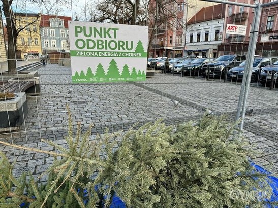 Ilustracja do artykułu: 2125 zebranych drzewek!