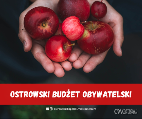 Ilustracja do artykułu: OBO. 101 pomysłów na Ostrów!