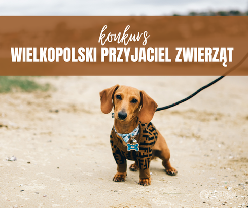 Ilustracja do artykułu: Konkurs 'Wielkopolski Przyjaciel Zwierząt'