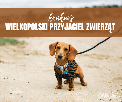 Ilustracja do artykułu: Konkurs 'Wielkopolski Przyjaciel Zwierząt'