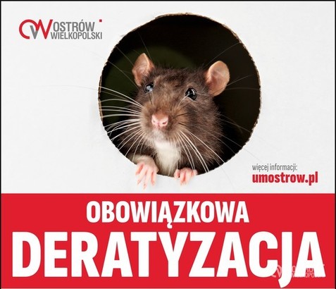 Ilustracja do artykułu: Obowiązkowa deratyzacja w kwietniu