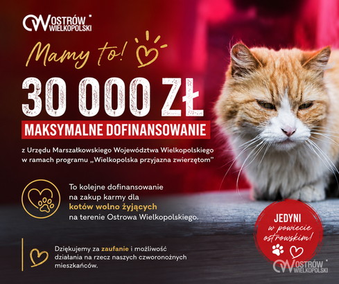 Ilustracja do artykułu: Maksymalne dofinansowanie dla Ostrowa Wielkopolskiego!