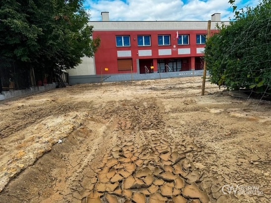 Ilustracja do artykułu: Więcej zieleni, mniej betonu przy Szkole Podstawowej nr 4!