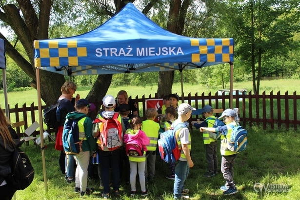 Ilustracja do artykułu: Piknik profilaktyczny służb mundurowych