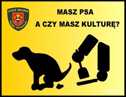 Ilustracja do artykułu: Masz psa, a czy masz kulturę?