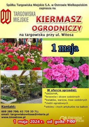 Ilustracja do artykułu: Wiosenny Kiermasz Ogrodniczo - Kwiatowy