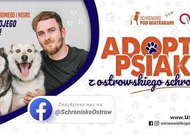 Ilustracja do artykułu: Adoptuj psiaka tak jak oni!