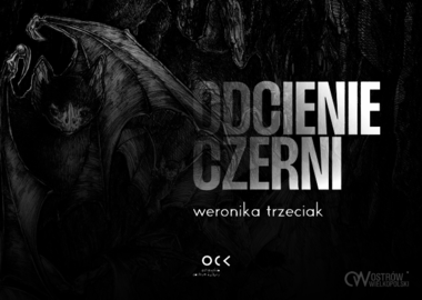 Ilustracja do artykułu: Weronika Trzeciak | Odcienie czerni | wernisaż