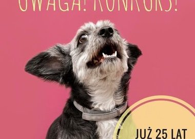 Ilustracja do artykułu: Konkurs Ostrowskiego Stowarzyszenia Miłośników Zwierząt