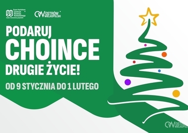 Ilustracja do artykułu: Rusza ekologiczna akcja oddawania choinek 