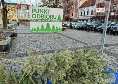 Ilustracja do artykułu: Poświąteczna zbiórka choinek