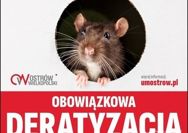 Ilustracja do artykułu: OBOWIĄZKOWA DERATYZACJA w kwietniu