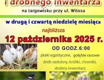 Ilustracja do artykułu: Ostrowska Wystawa Ptaków