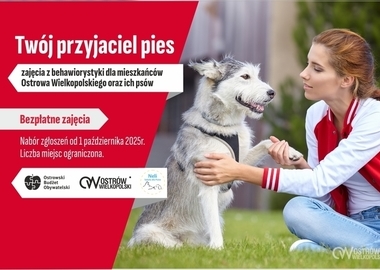 Ilustracja do artykułu: Twój przyjaciel pies