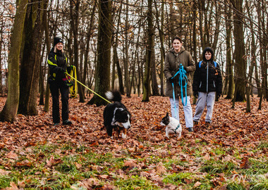 Ilustracja do artykułu: Twój przyjaciel pies – projekt dla miłośników czworonogów