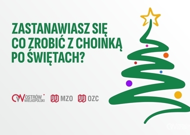Ilustracja do artykułu: Zastanawiasz się co zrobić z choinką po świętach?