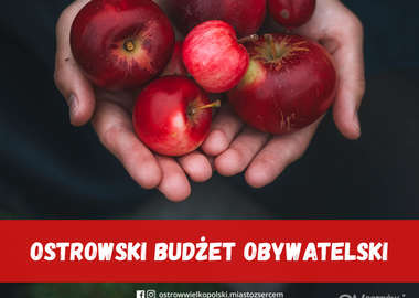 Ilustracja do artykułu: OBO. 101 pomysłów na Ostrów!