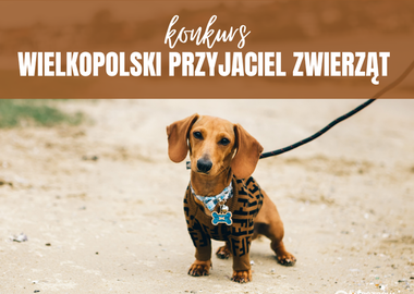 Ilustracja do artykułu: Konkurs 'Wielkopolski Przyjaciel Zwierząt'