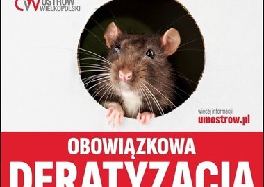 Ilustracja do artykułu: Obowiązkowa deratyzacja w kwietniu