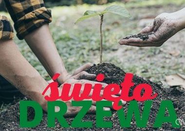 Ilustracja do artykułu: Święto Drzewa już w tę niedzielę! Sprawdź program 