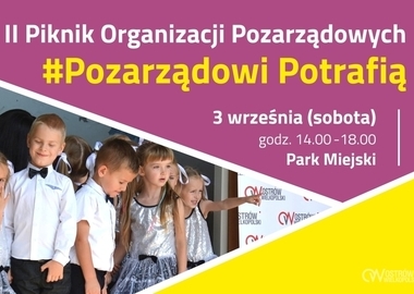 Ilustracja do artykułu: II Piknik Organizacji Pozarządowych – pokażą, co potrafią