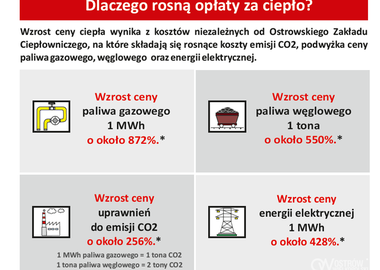 Ilustracja do artykułu: Poseł Grzegorz Rusiecki reaguje