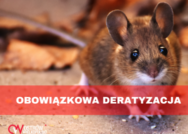 Ilustracja do artykułu: Obowiązkowa deratyzacja w listopadzie