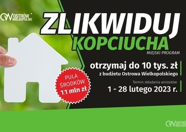 Ilustracja do artykułu: Zlikwiduj kopciucha z miejskim wsparciem