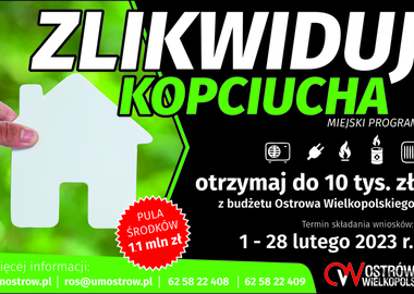 Ilustracja do artykułu: Zlikwiduj kopciucha z miejskim wsparciem