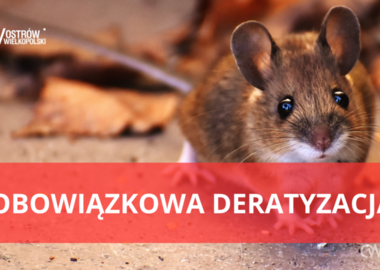 Ilustracja do artykułu: Obowiązkowa deratyzacja w kwietniu