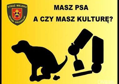 Ilustracja do artykułu: Masz psa, a czy masz kulturę?