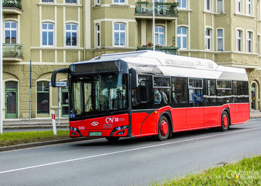 Ilustracja do artykułu: MajOSTaszki: autobusem za darmo