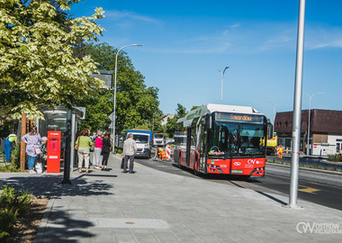 Ilustracja do artykułu: majOSTaszki: autobusem za darmo!