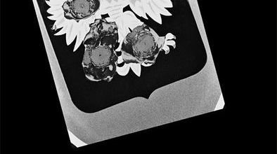 Ilustracja do artykułu: Spotkanie z mistrzem fotografii | Stanisław Kulawiak