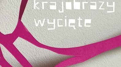 Ilustracja do artykułu: KRAJOBRAZY WYCIĘTE | ANNA WIKŁO | wernisaż wystawy